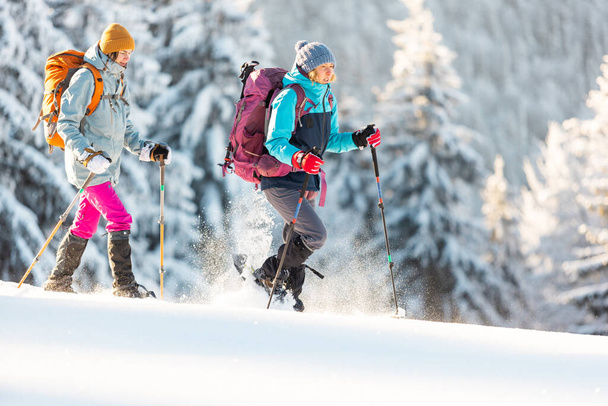 Zwei Frauen laufen mit Schneeschuhen im Schnee, Winterwandern, zwei Personen im Winter in den Bergen, Wanderausrüstung - Foto, Bild