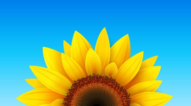 Summer flower background with sunflower and blue sky, vector illustration. - Διάνυσμα, εικόνα