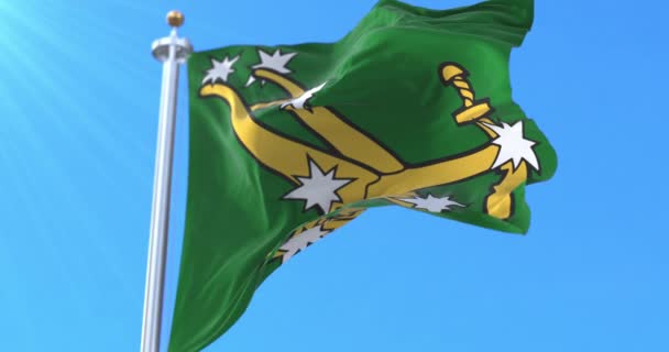 The original Starry Plough flag of the Irish Citizen Army. Loop - Filmmaterial, Video