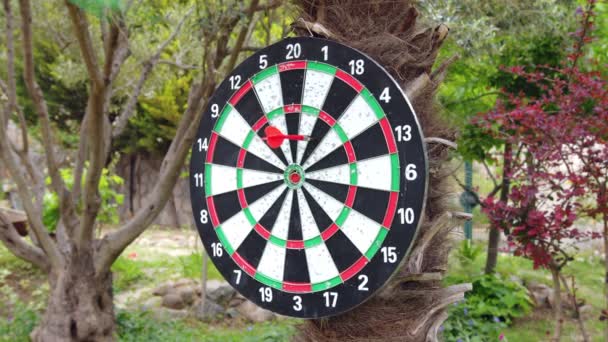 Playing Dart game in the garden. Close up, slow motion.  - Video