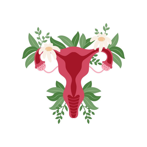 Women health Uterus Floral Ovary reproductive system Concept - Вектор,изображение