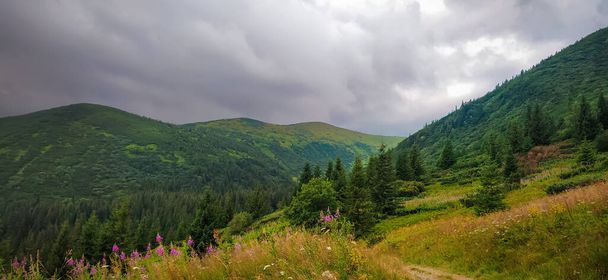 Thunderstorm. The road through the mountains to the lake Nesamovyte. Mountain View - Foto, imagen