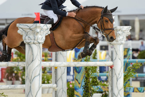 вид на соревнования по конкуру на лошадях в городе Фонтенбло - Фото, изображение