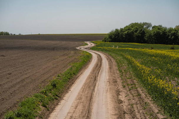 dirt road through fields Ukrainian village, summer sunny day, no one - Photo, image