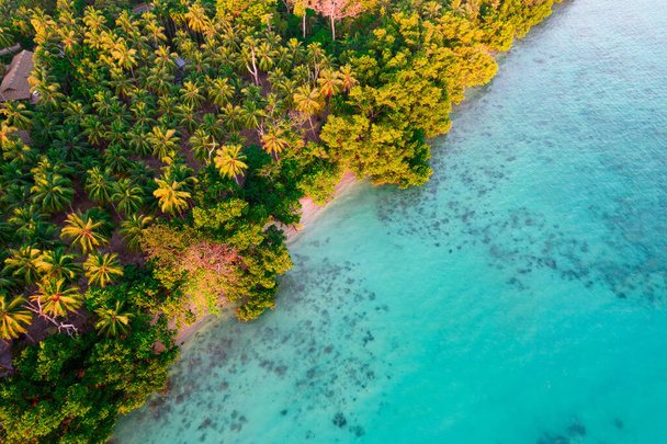 dron aéreo disparó panorámica de hermosas aguas verdes azules llenas de olas, rocas y malezas marinas para revelar verdes cocoteros exuberantes y una playa de arena en havelock swaraj dweep andaman - Foto, imagen