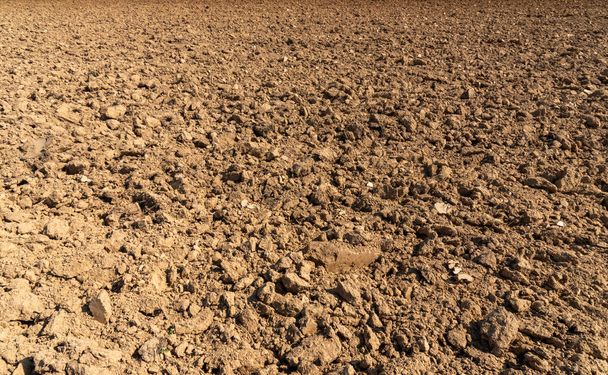 Plowed land with large clods, dry plowed soil. Ideal texture fo background - Foto, immagini