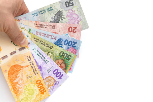 Аргентинські гроші, які тримають в руці, всі банкноти з серії нових тварин, білий фон, місце для тексту - Фото, зображення