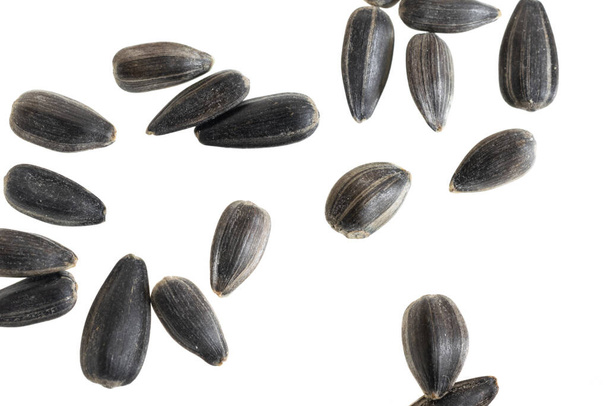 sunflower seeds on a white isolated background - Fotografie, Obrázek