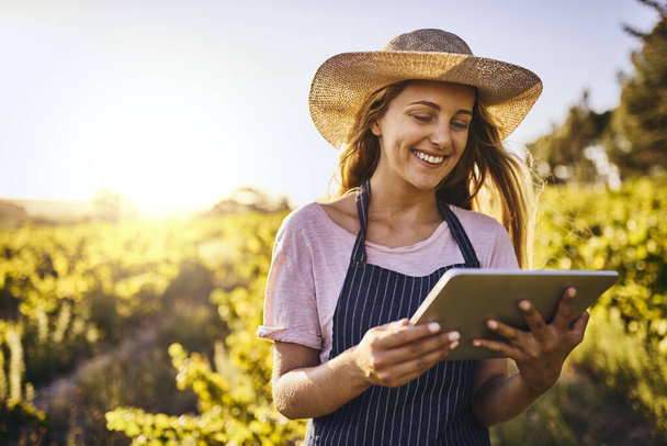 Farming in the age of the app. Shot of a young woman using a digital tablet on a farm. - 写真・画像