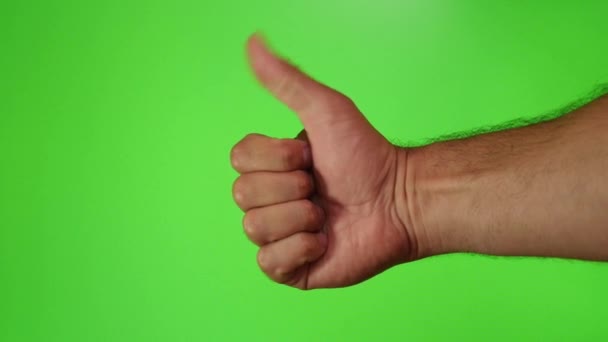 Male hand on a green background counts with the fingers from one to five. - Video, Çekim