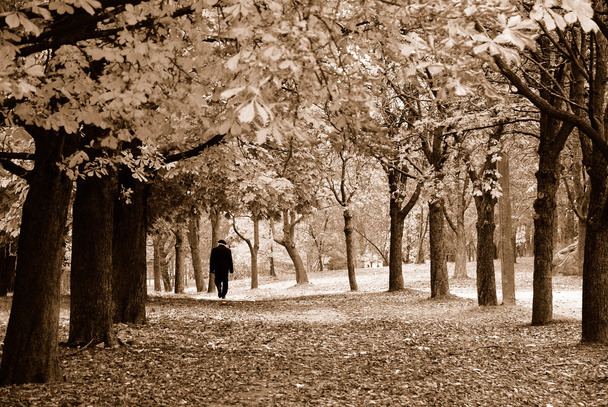 sama v parku - Fotografie, Obrázek