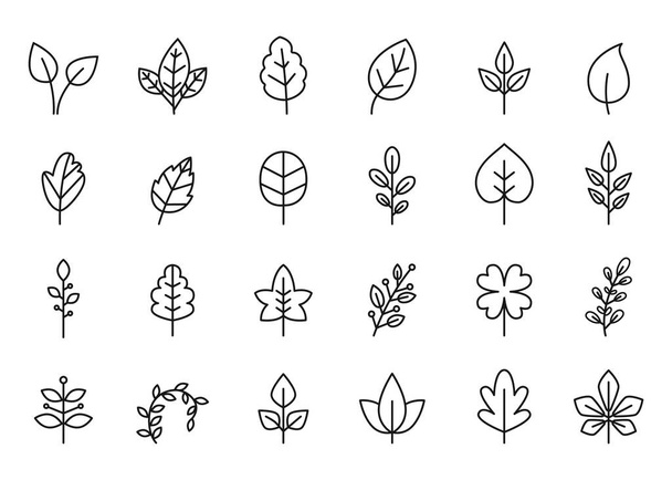 Line leaves icon. Vegan leaf, eco plant growth and fresh organic vector symbol set - Vector, Image