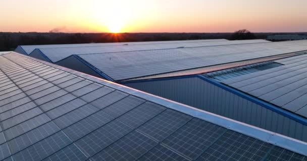 Luchtfoto van blauwe fotovoltaïsche zonnepanelen gemonteerd op industrieel gebouwendak voor de productie van groene ecologische elektriciteit. Productie van concept voor duurzame energie - Video