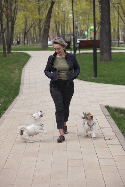 Atractiva mujer caminando en el parque con dos jack russell terriers. - Foto, imagen