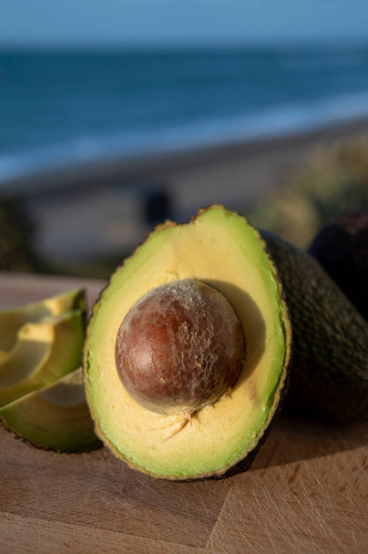 Cultivation of hass avocado fruits in Europe, new harvest of avocado in Malaga region, Andalusia, Spain and beach, palm trees and sea on background - Photo, Image