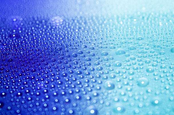 Water drops - Fotó, kép