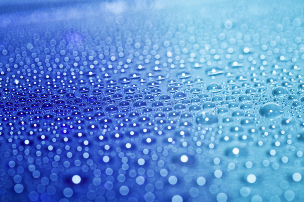 Water drops - Fotografie, Obrázek
