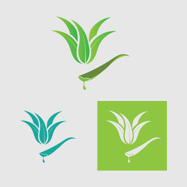 collection Aloe Vera logo template,Green leaf aloe vera label - ベクター画像
