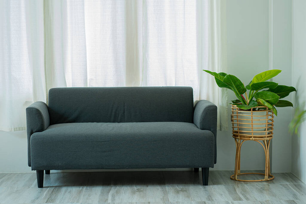 Salon avec canapé et plantes en pot et grandes fenêtres Photos d'intérieur de style scandinave Idées minimes de design d'intérieur dans des appartements spacieux - Photo, image