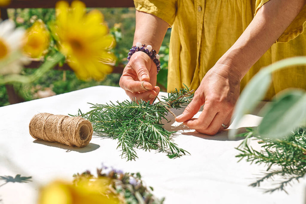 Alternative medicine. Collection and drying of herbs. Woman holding in her hands a bunch of rosemary. Herbalist woman preparing fresh scented organic herbs for natural herbal methods of treatment. - Foto, immagini