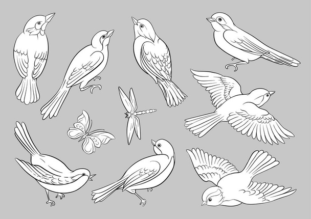 Set of birds: sparrow, finches, butterflies, dragonflies - Wektor, obraz