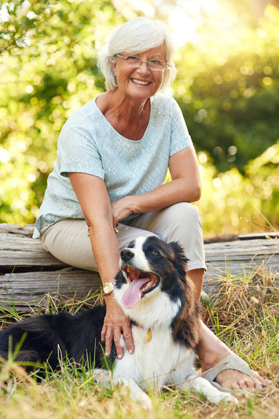 Emeklilik için mükemmel bir eş. Parkta köpeğiyle rahatlayan son sınıf mutlu bir kadının portresi.. - Fotoğraf, Görsel