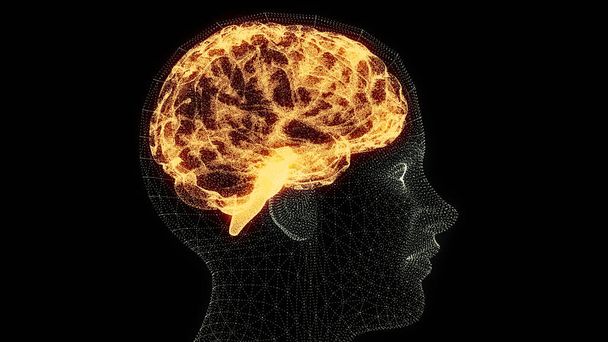 Como o cérebro funciona. Sinapses e neurónios. Ligações. Cuide do seu cérebro, estímulos e ideias. Doenças degenerativas, Parkinson e Alzheimer. Renderização 3d - Foto, Imagem