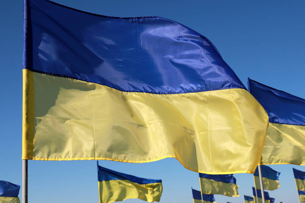 Many state flags of Ukraine are flying in wind. Concept of heroic struggle of Ukrainian people against Russian war. - Foto, Imagen