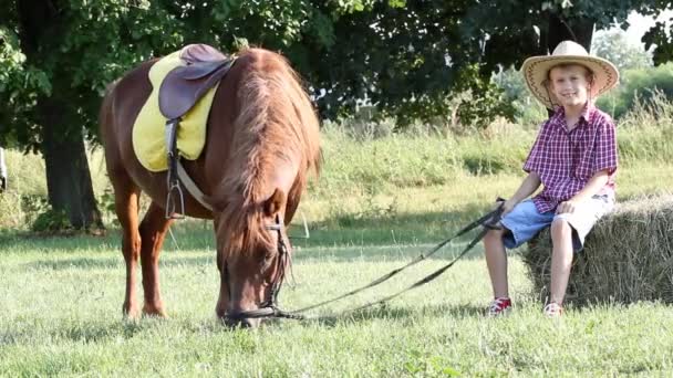 Menino e cavalo de pônei na fazenda
 - Filmagem, Vídeo