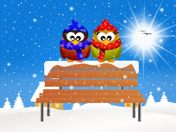 Owls at Christmas - Foto, imagen