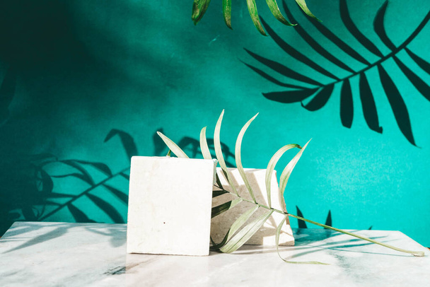 Mínima exposición moderna del producto de travertino sobre fondo verde alcance con hojas de palma y sombra superpuesta - Foto, imagen