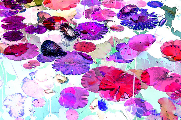 Diseño de patrón elegante presentado con hojas de loto y lirio de agua - Foto, Imagen