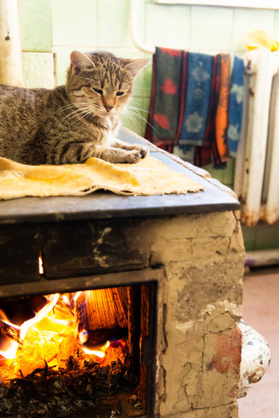 Cat sleeping on stove fireplace in home room - Foto, Imagen