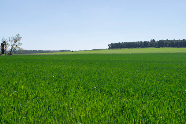 Landscape with farm fields in spring woods. - Foto, Bild