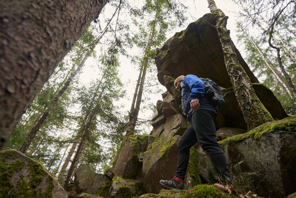 Disparo de ángulo bajo de excursionista pisando rocas en el bosque - Foto, Imagen