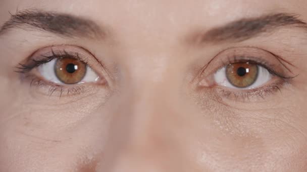 lähikuva yläosa naisen kasvot silmät ja kulmakarvat - Materiaali, video