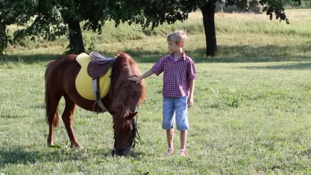 Menino e cavalo de pônei
 - Filmagem, Vídeo