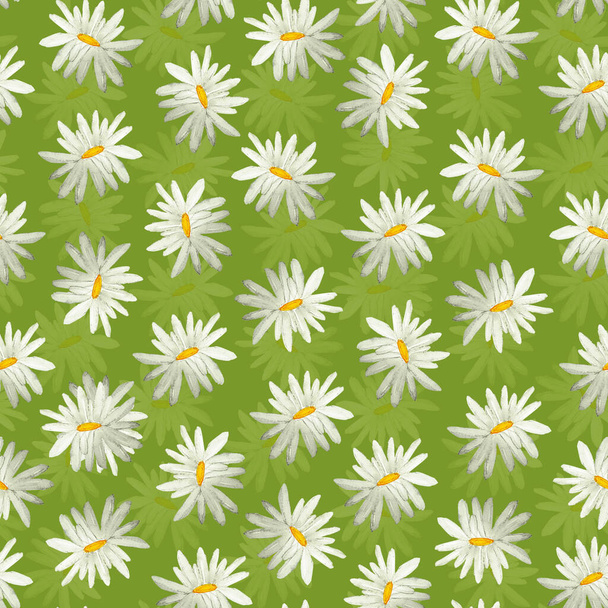 Gänseblümchen auf einer grünen Wiese aquarellieren nahtlose Muster. Vorlage zum Dekorieren von Designs und Illustrationen. - Foto, Bild