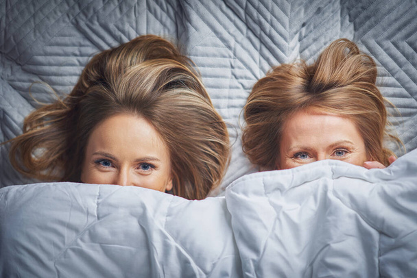 Picture of two girls friends or couple in the bed - Fotografie, Obrázek