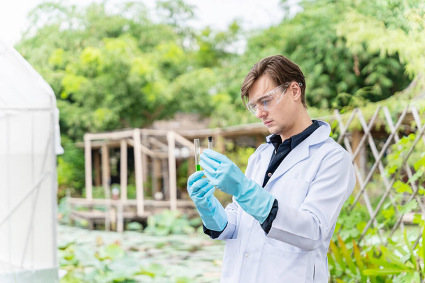 Agricultural researcher in the Industrial greenhouse analyze and take notes for research agricultural complex to produce better results in the future. - Valokuva, kuva
