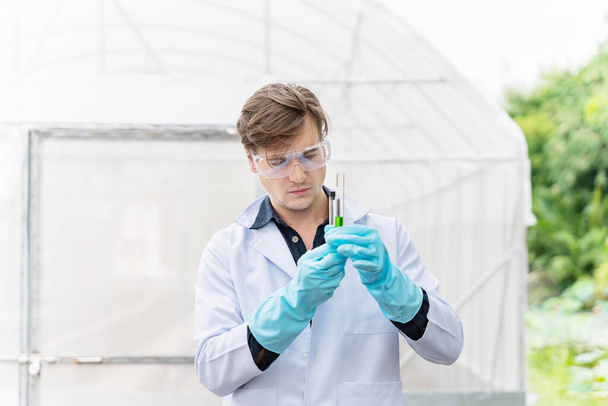 Agricultural researcher near the Industrial greenhouse analyze and take notes for research agricultural complex to produce better results in the future. - Foto, afbeelding