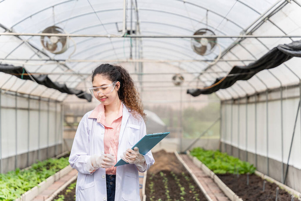 Agricultural researcher in the Industrial greenhouse analyze and take notes for research agricultural complex to produce better results in the future. - Foto, immagini