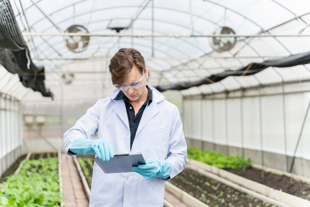 Agricultural researcher in the Industrial greenhouse analyze and take notes for research agricultural complex to produce better results in the future. - Zdjęcie, obraz