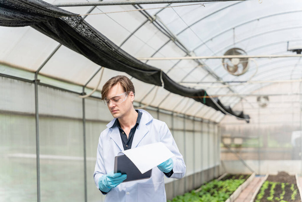 Mezőgazdasági kutató az ipari üvegház elemzése és jegyzeteket készít a kutatás mezőgazdasági komplexum, hogy jobb eredményeket a jövőben. - Fotó, kép