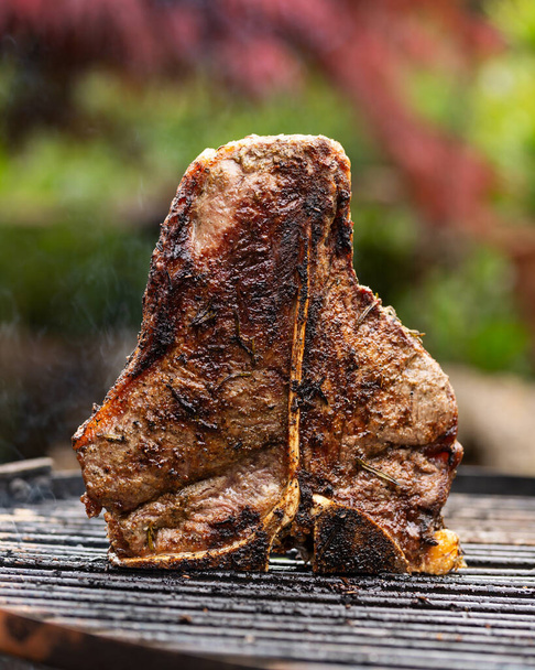Cooking t bone beef steak with herb seasoning on open fire grill - Foto, afbeelding