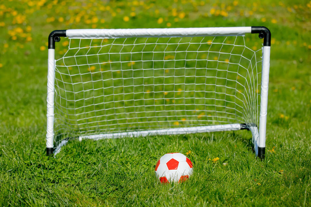 Μικρή μπάλα και ποδόσφαιρο futsal στο πράσινο γρασίδι - Φωτογραφία, εικόνα
