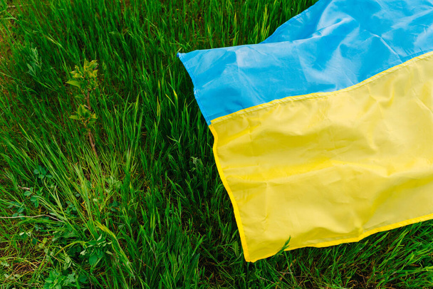 Bandera del Estado de Ucrania yaciendo sobre hierba fresca. Copiar espacio - Foto, imagen