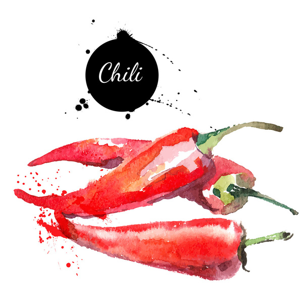 Chilli. Hand drawn watercolor painting on white background.  - Vector, Image