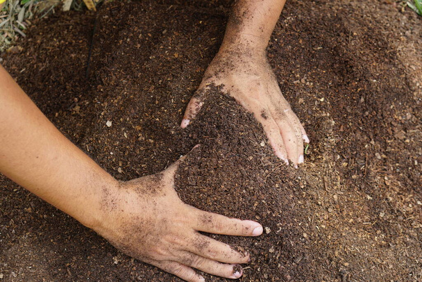 Los agricultores mezclan el suelo para cultivar. proporcionar los minerales que las plantas necesitan Está creciendo rápido y fuerte. - Foto, Imagen