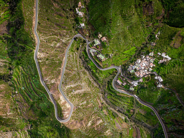 Točitá cesta zeleným horským parkem na Tenerife - Fotografie, Obrázek